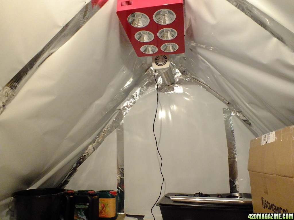 Attic grow room