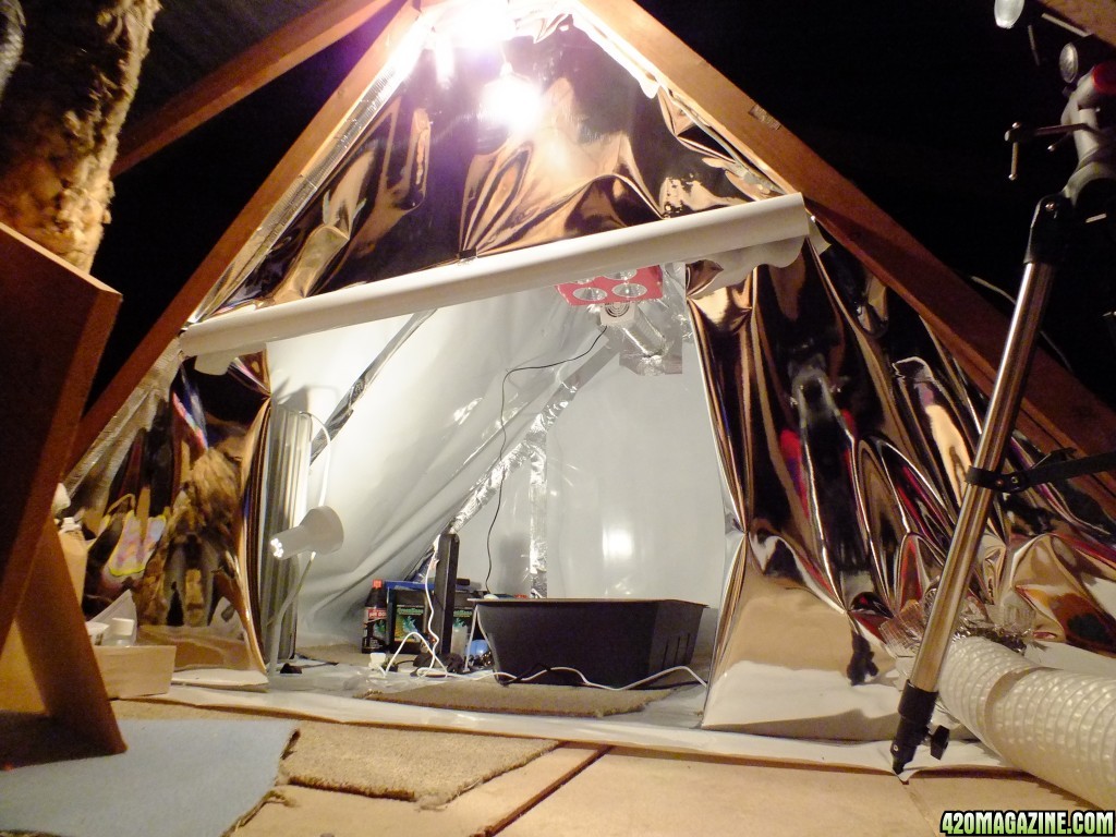 Attic grow room