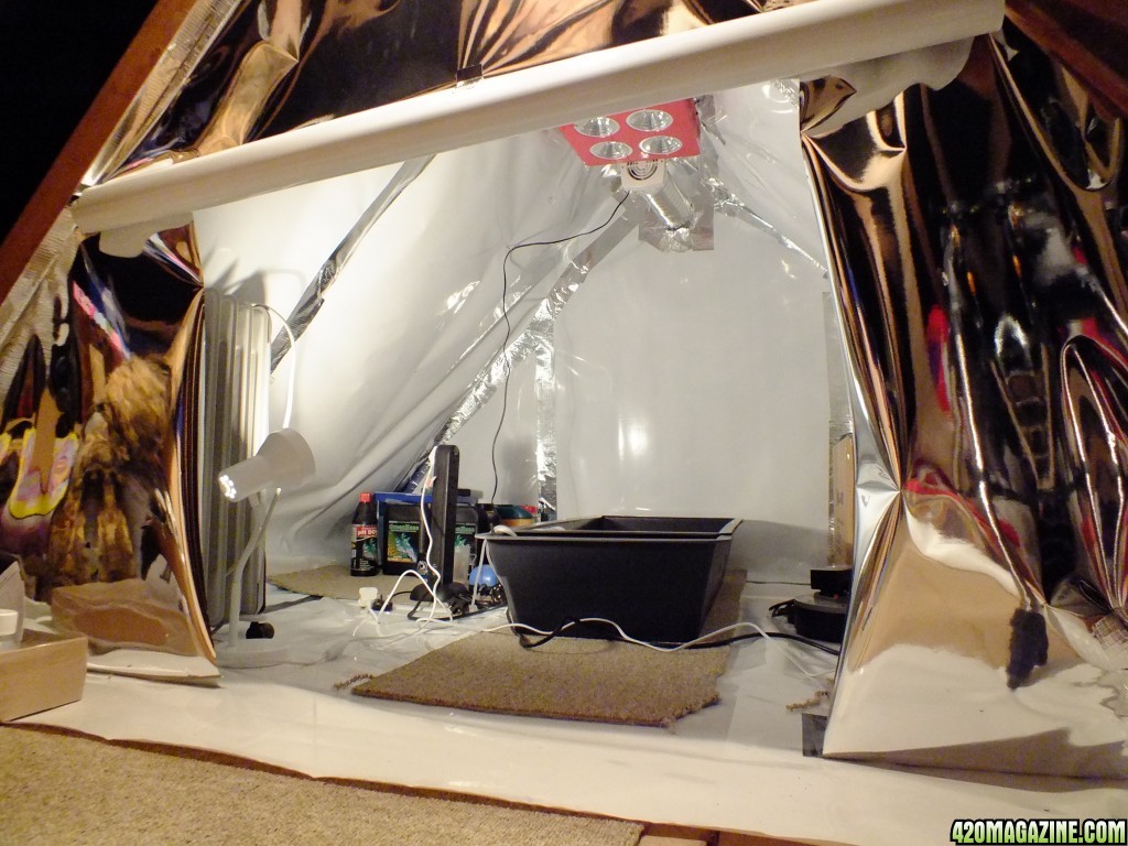 Attic grow room