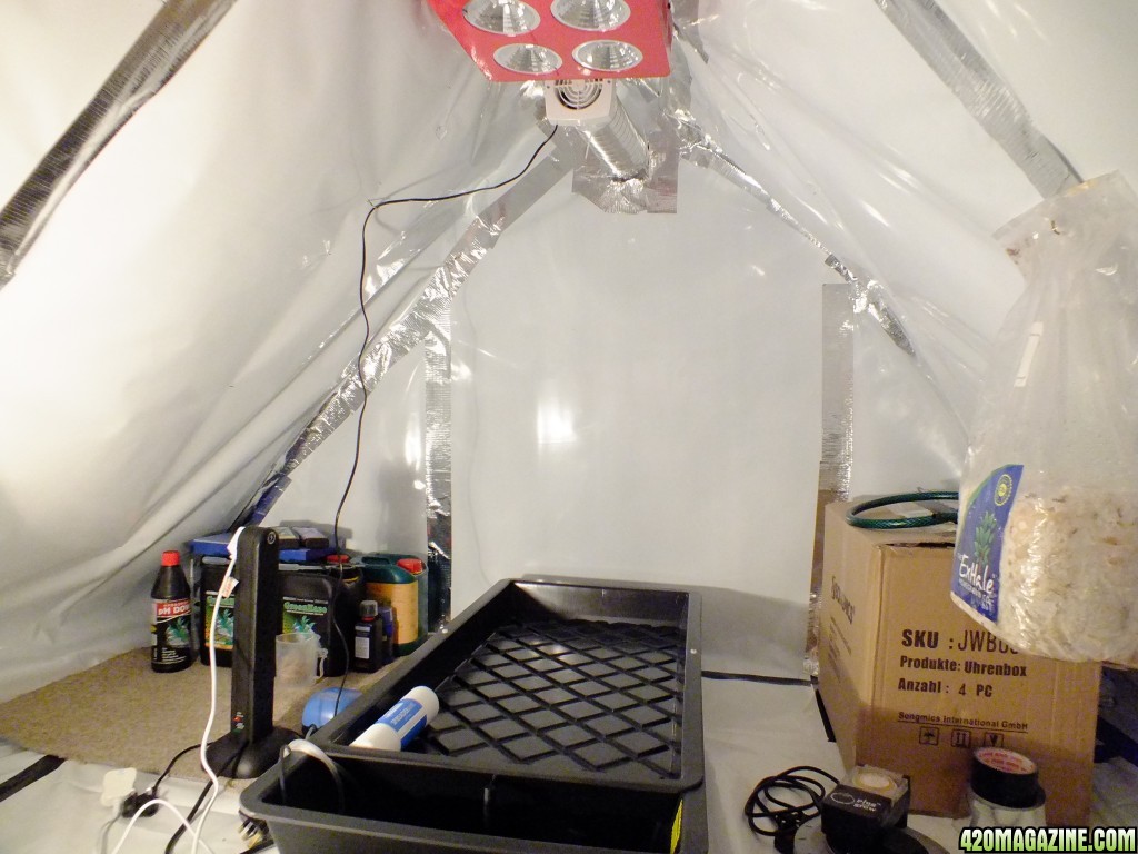 Attic grow room