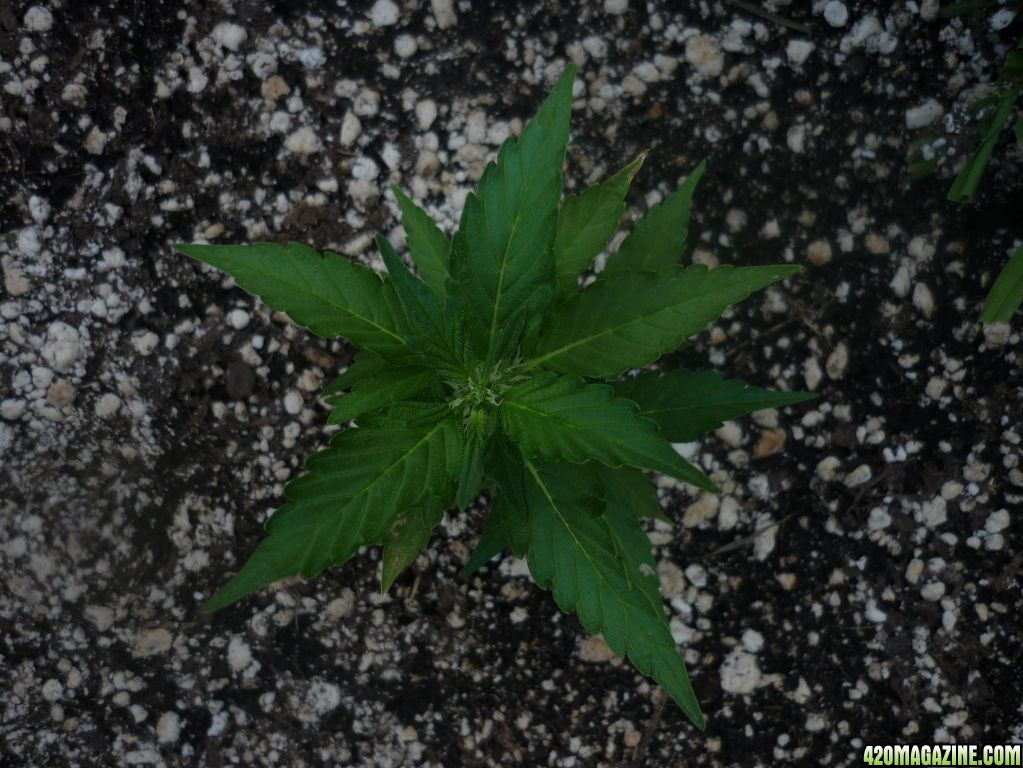 Aug_10th_Baby_BW_Clone