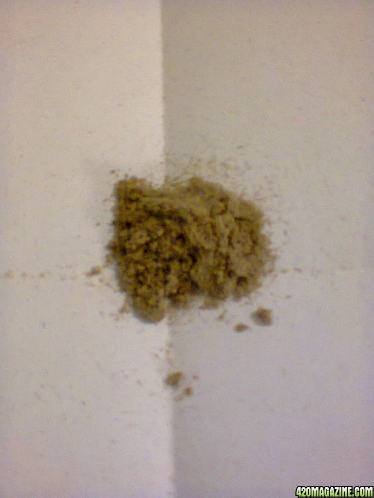 Auto BlackBerry Kush hash from trim