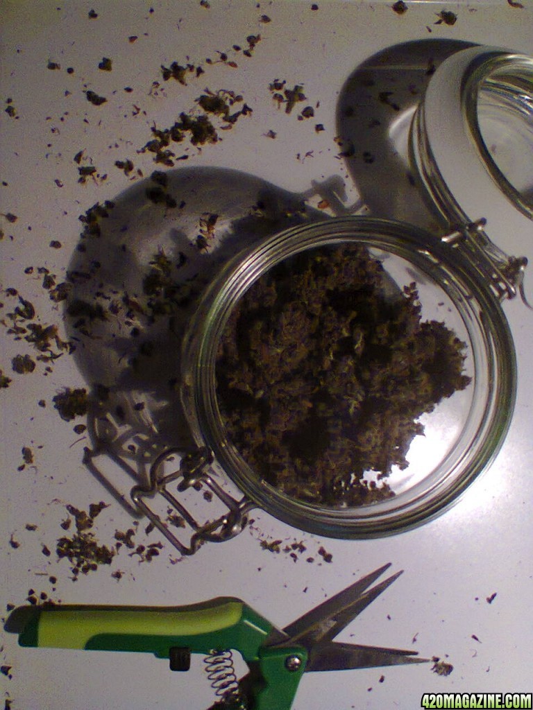 Auto BlackBerry Kush jar