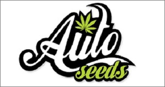 Auto Seeds Home Page Image