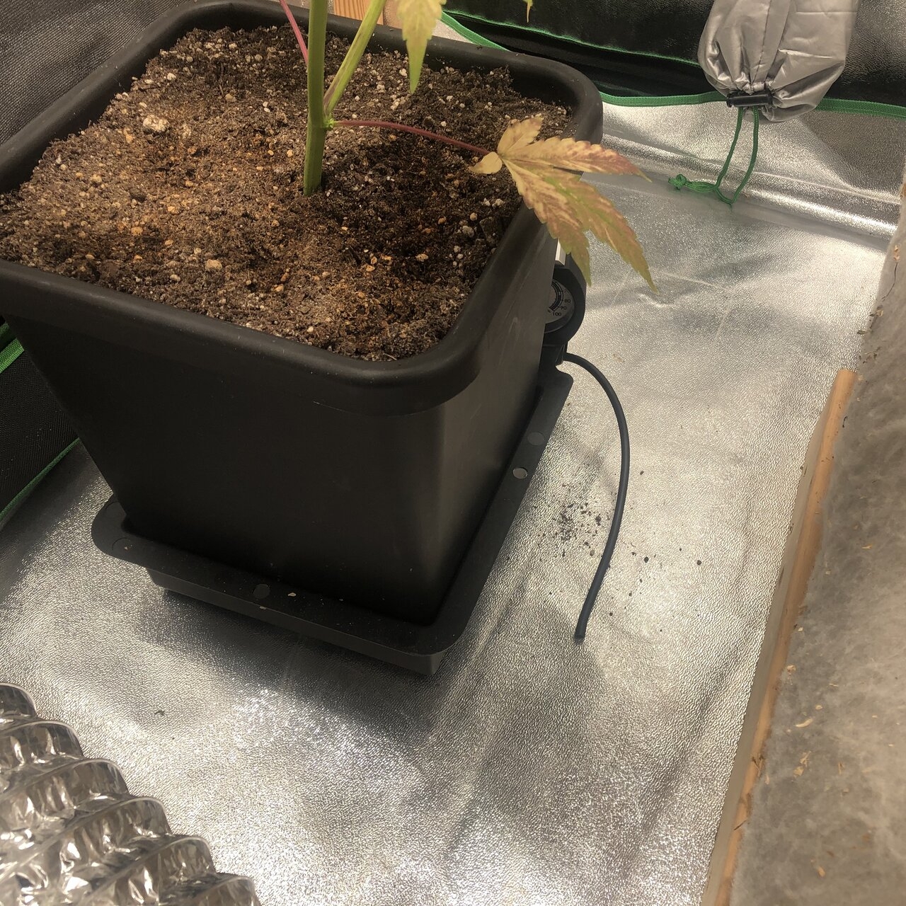 autopot disconnected