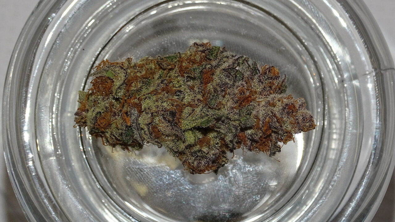 Ayahuasca Purple