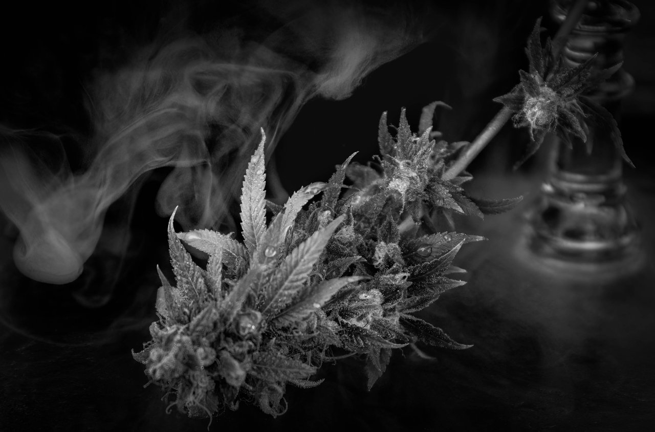 B&W Cannabis works.jpg