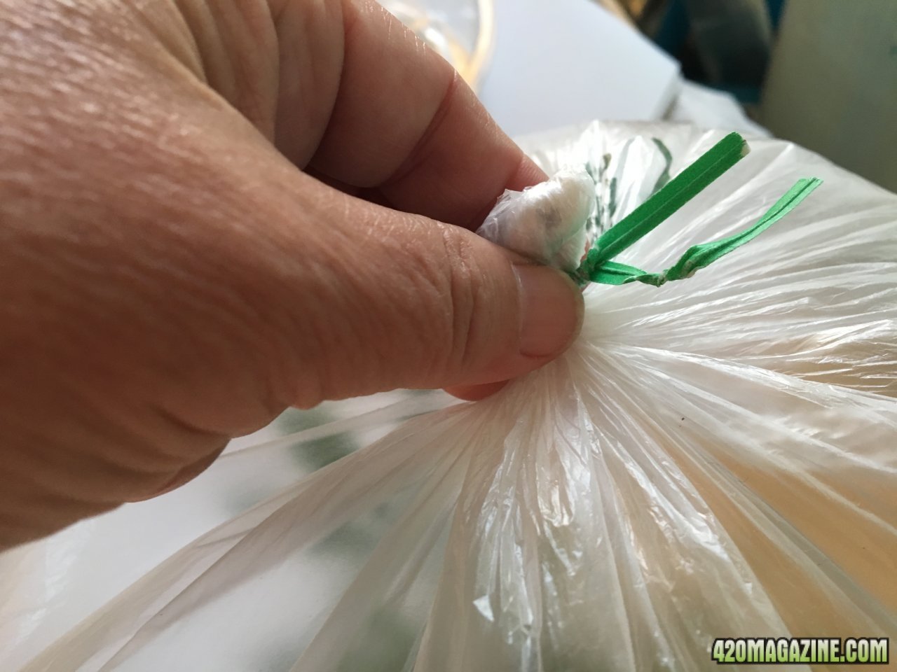 Bagging the clones