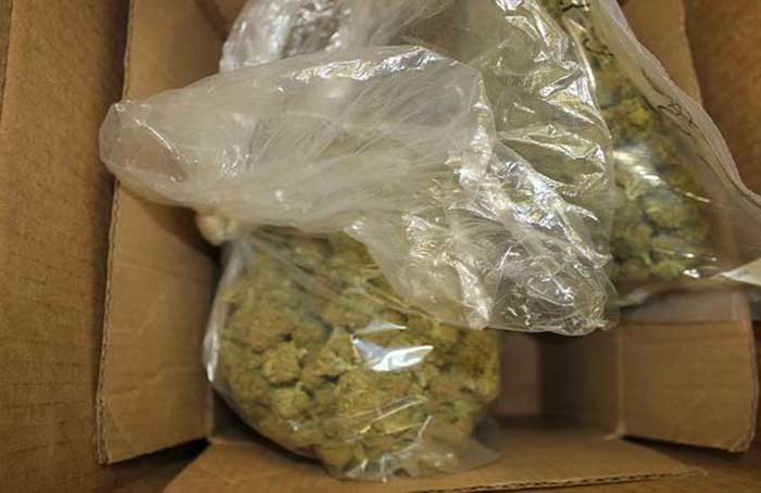 Bags of Buds - PORT HUENEME POLICE