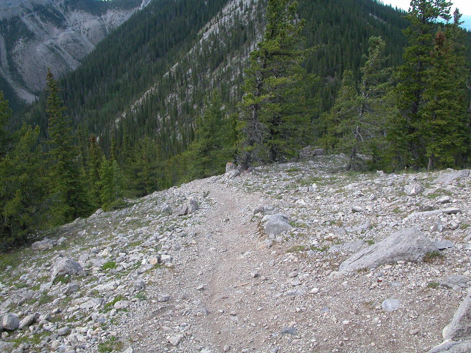 baldy-pass-july-2003--10.jpg