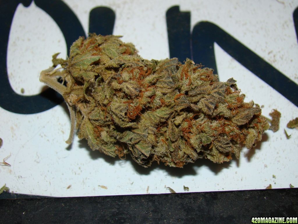 Bananna Kush