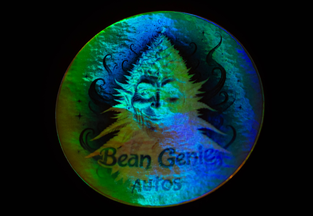 Bean Genie .jpg