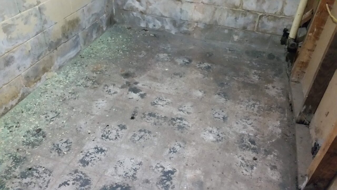 before floor.jpg