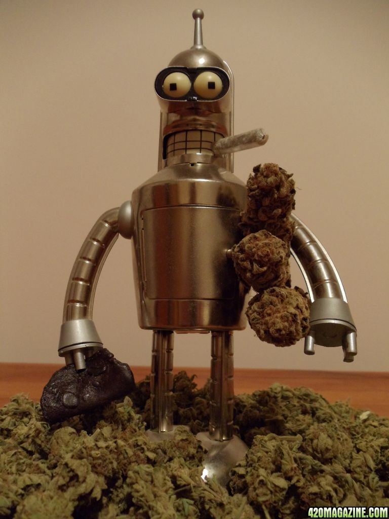 Bender The Pinch