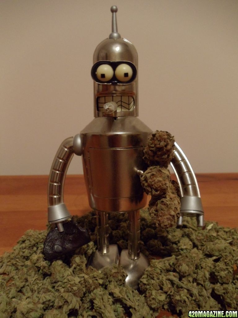 Bender The Pinch