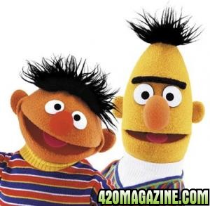 bert & ernie