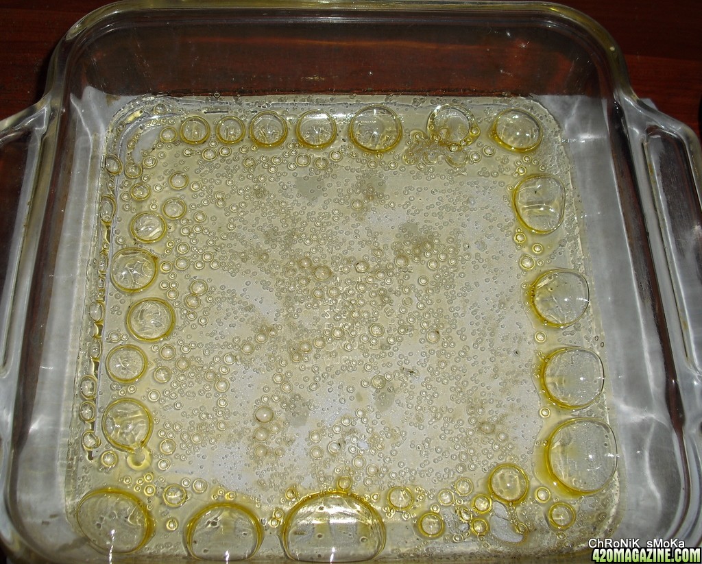 BHO honey oil