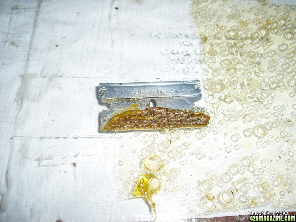 BHO honey oil