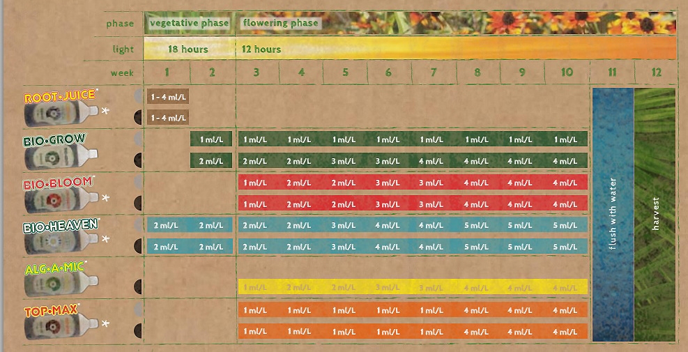 BioBizzfeedchart1.jpg