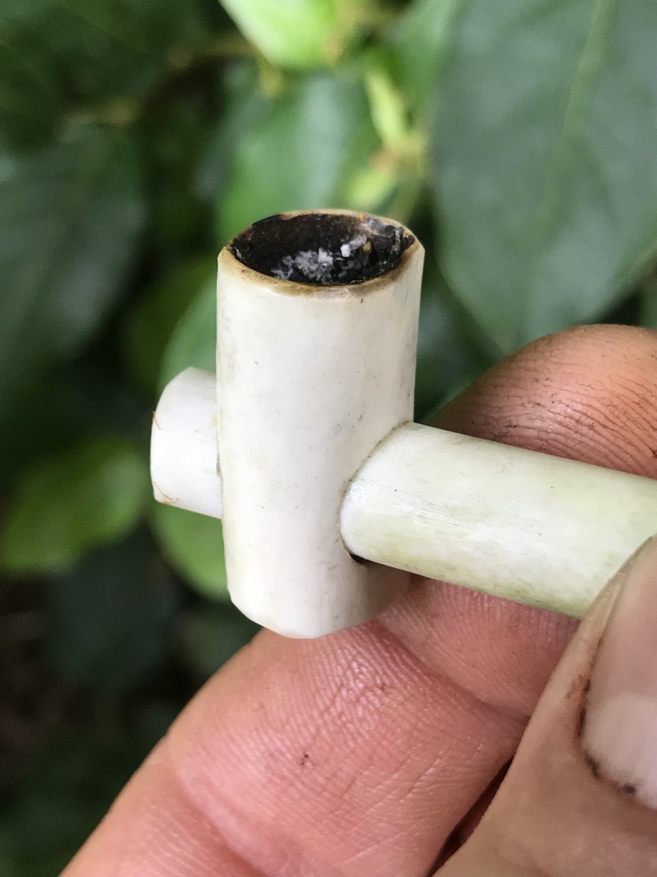 Birdbone pipe