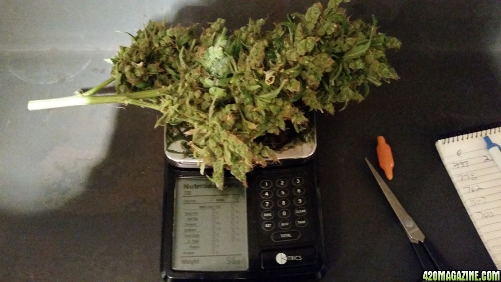 BK Harvest