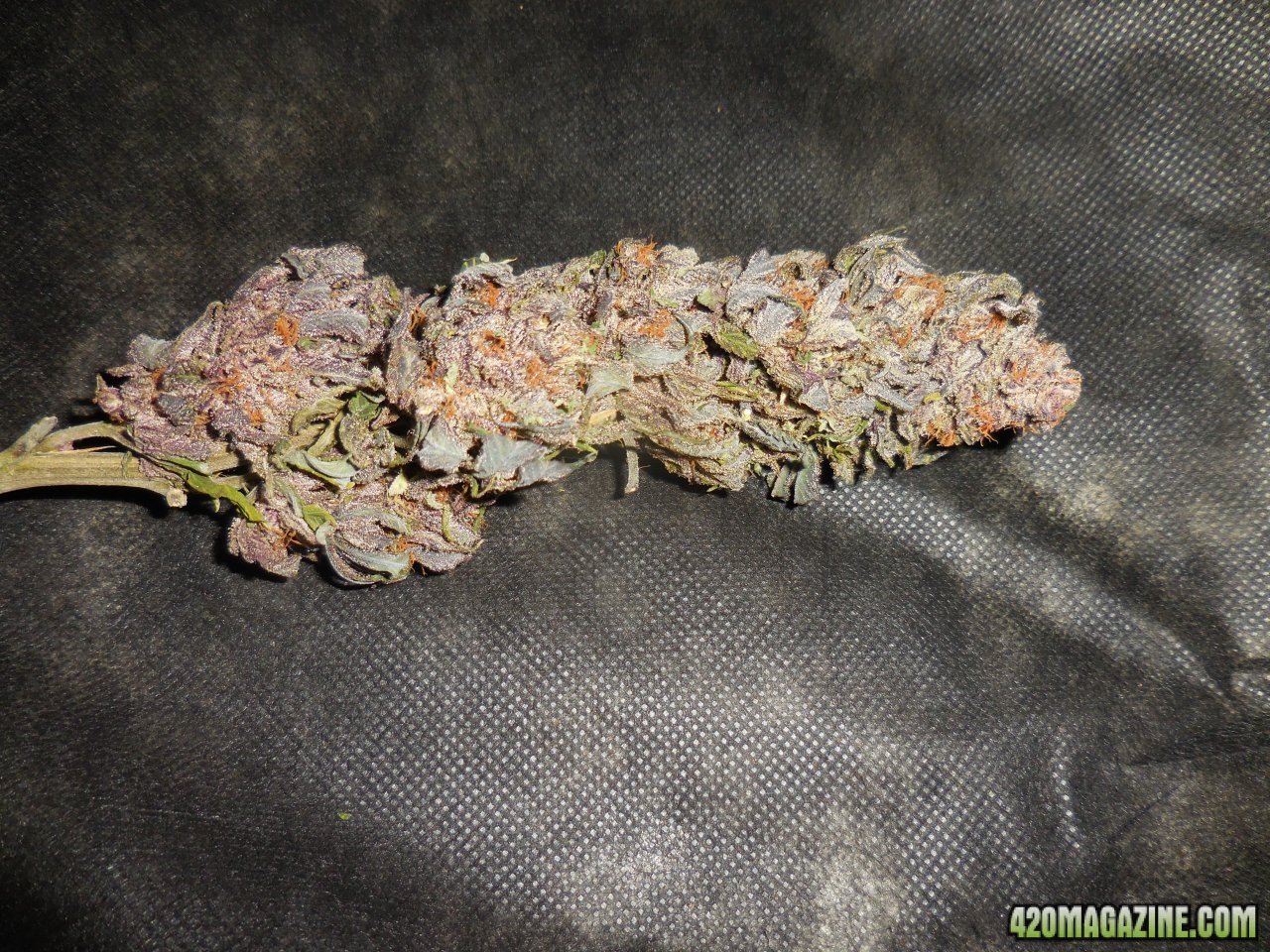 Black Cherry Punch nugs!! 002.jpg