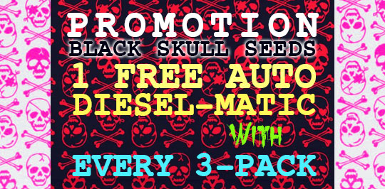 Black Skull Promo