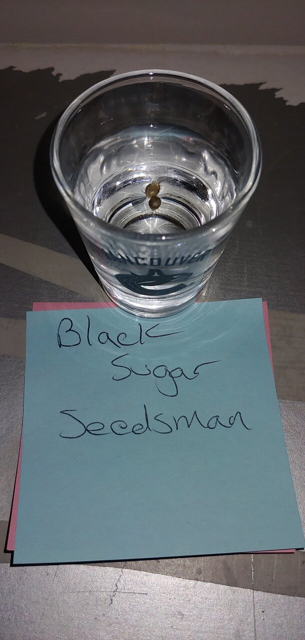 Black sugar