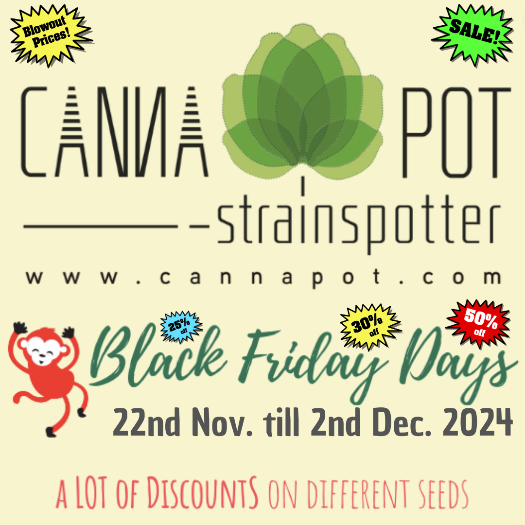 Black_Friday-2024-1080x1080-Cannapot-Weedseeds.png