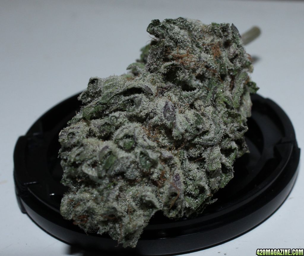 BlackBerry Kush