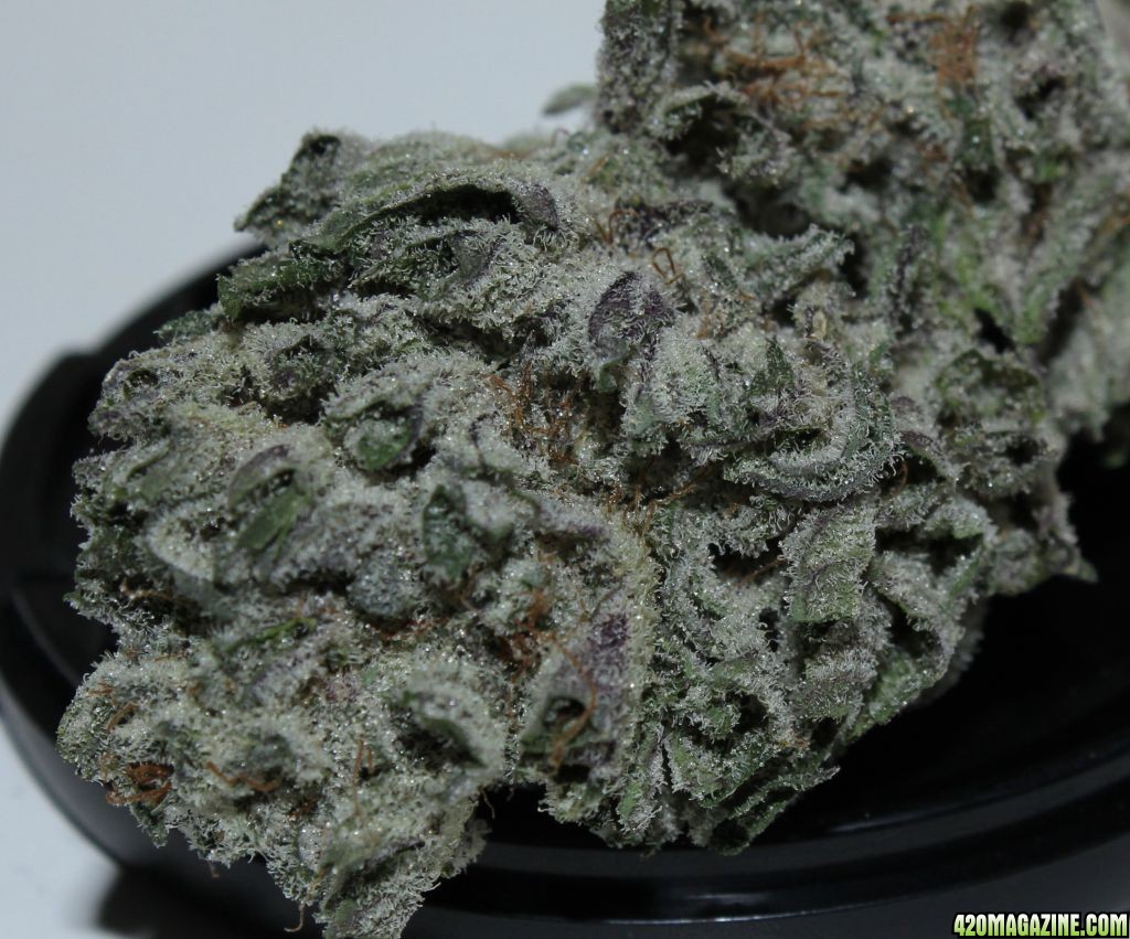 BlackBerry Kush