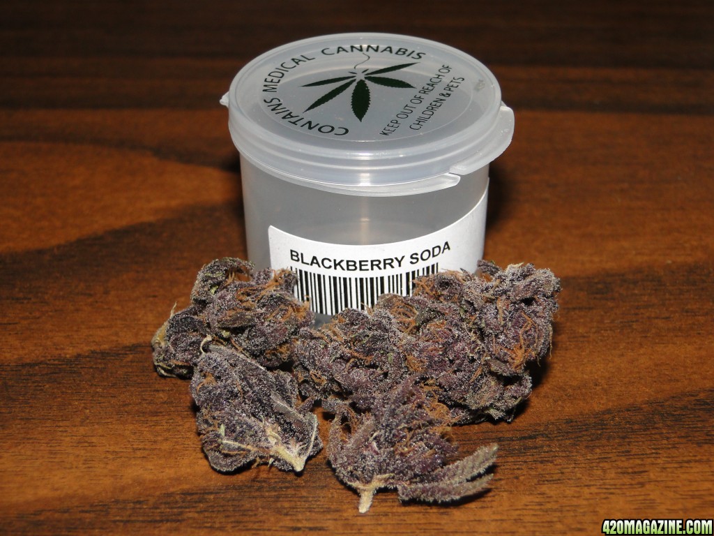 Blackberry Soda-July N.O.T.M. Entry