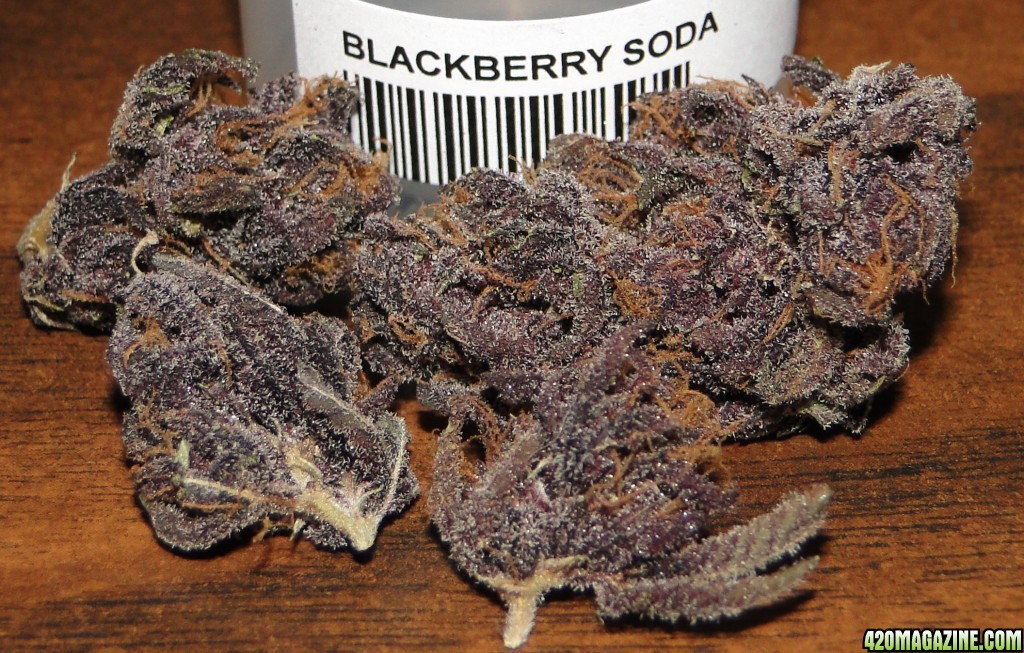 Blackberry Soda-July N.O.T.M. Entry