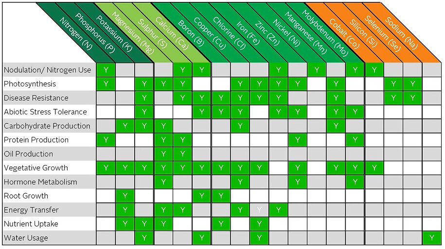 blog-The-essential-plant-nutrients.jpg