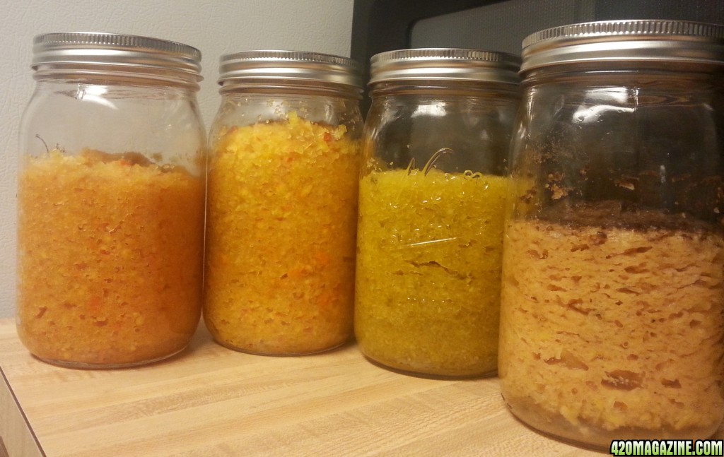 Bloom Ferments