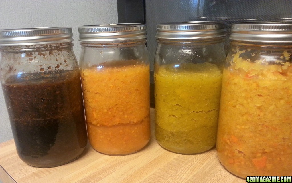 Bloom Ferments