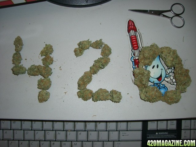 Blue Dream 420 !!!