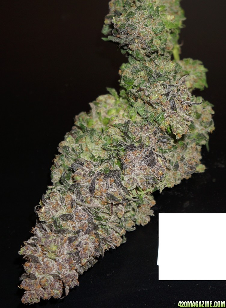 Blue Lemon Thai