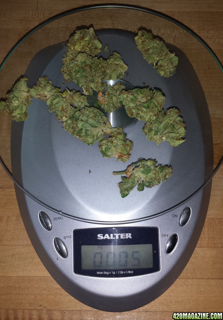 Blueberry 2 low and slow 5 grams + 119 = 124 g total