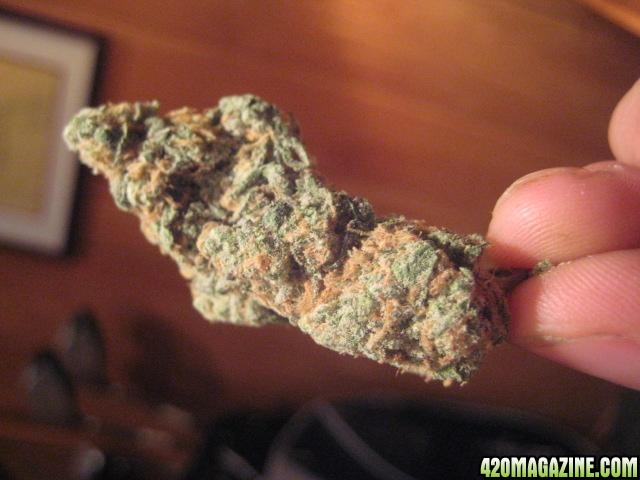 blueberry =)