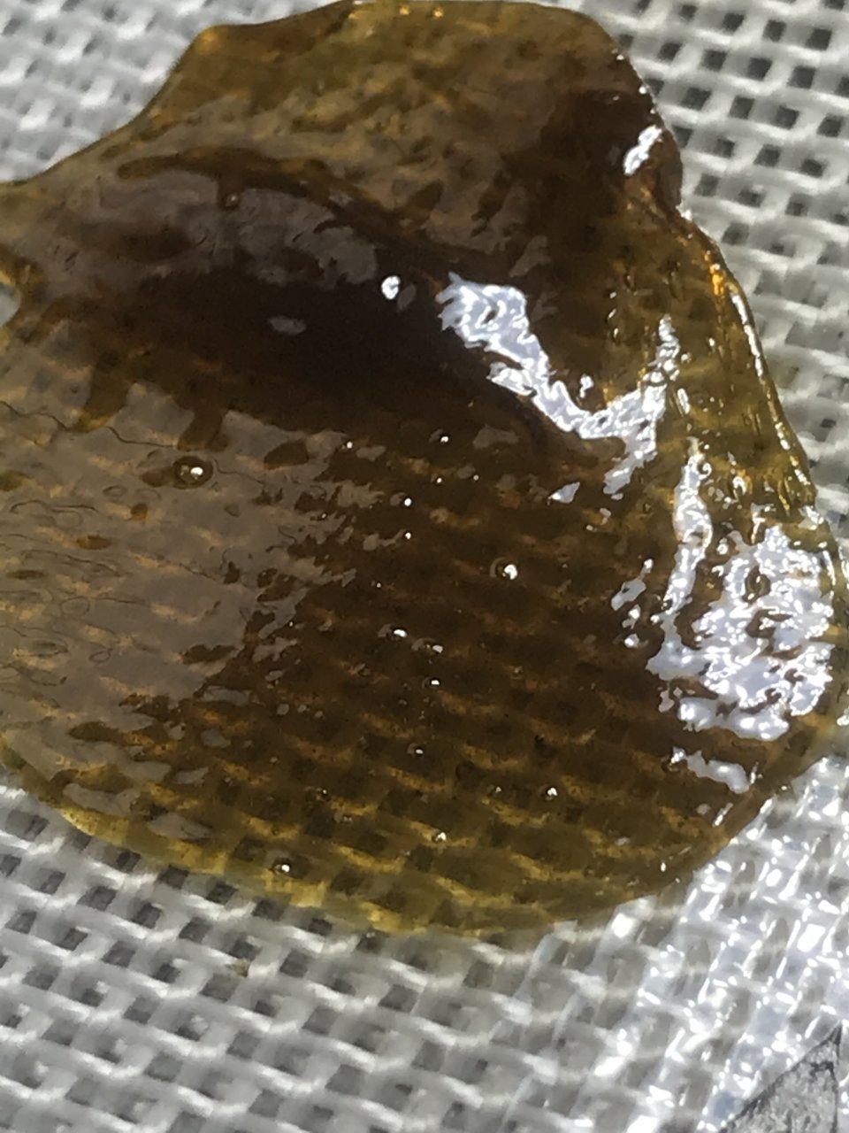 BlueberryTrainwreck Rosin.jpeg