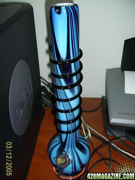 bluebong