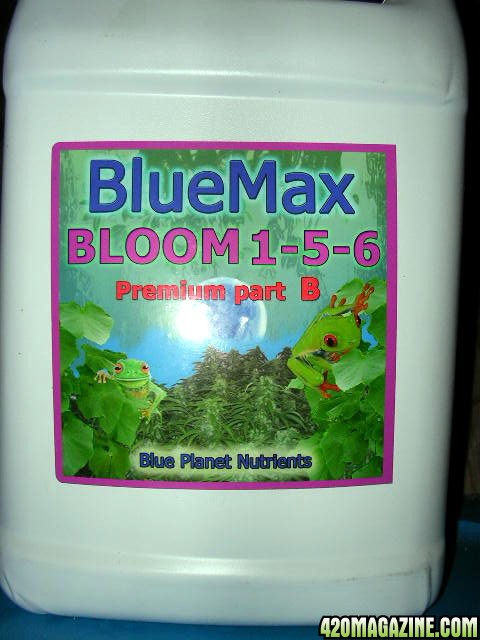 BlueMax Bloom (front)