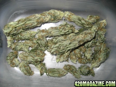 BlueMystic buds