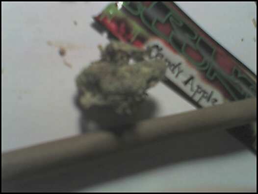 Blunt 2