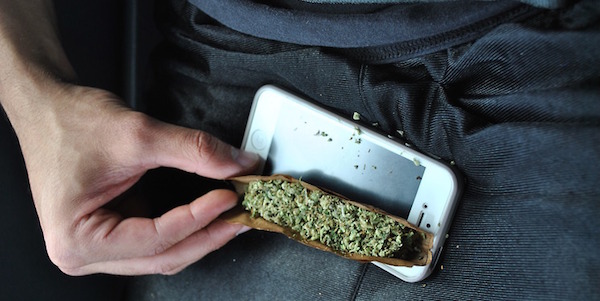 blunt and cell phone