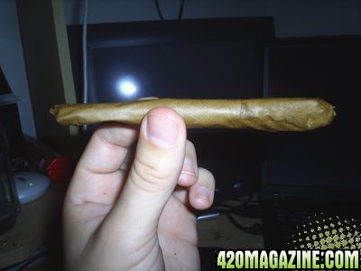 blunt contest