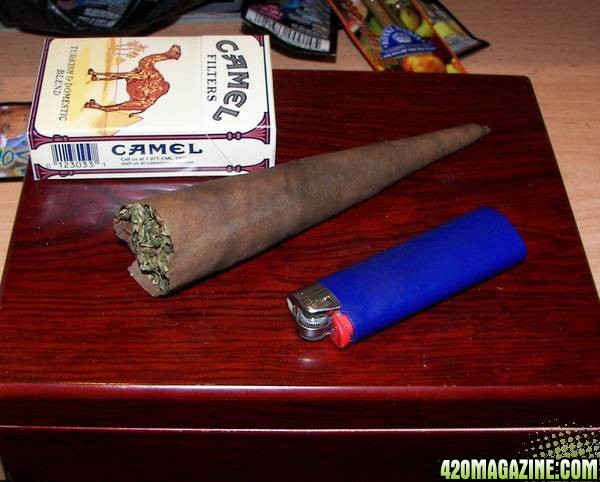 blunt