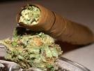 blunt