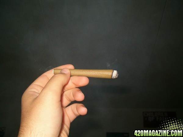 Blunt